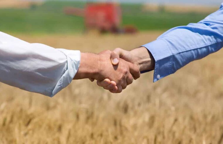 Agricultores se surpreendem com tecnologia que identifica ervas daninhas