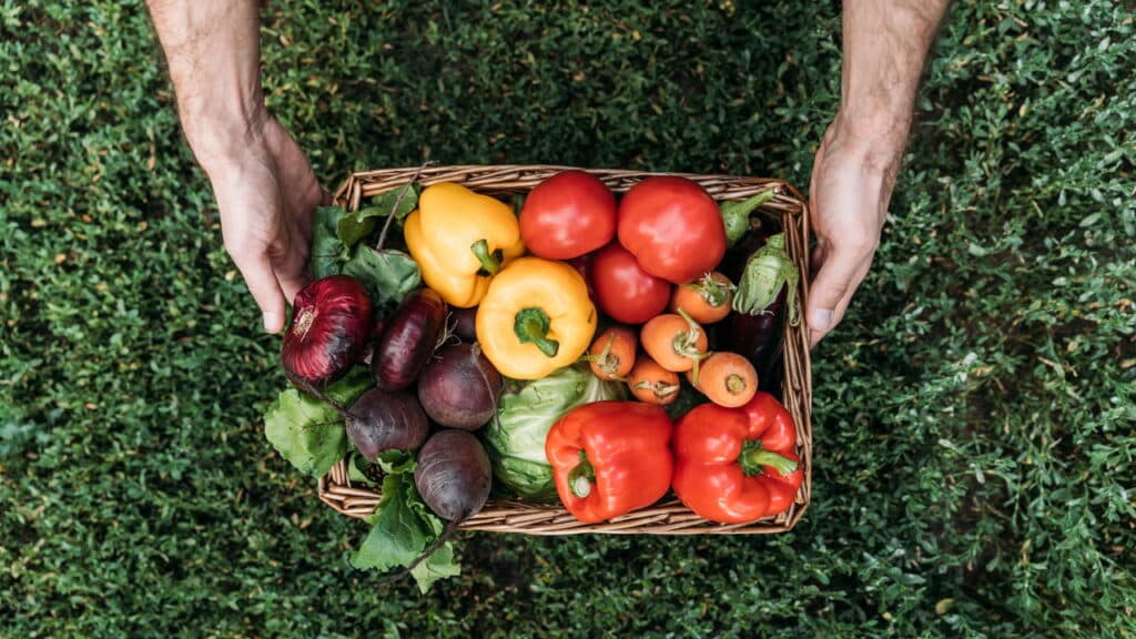 R$ 300 por mês? Entenda quem tem direito ao novo vale-alimentação
